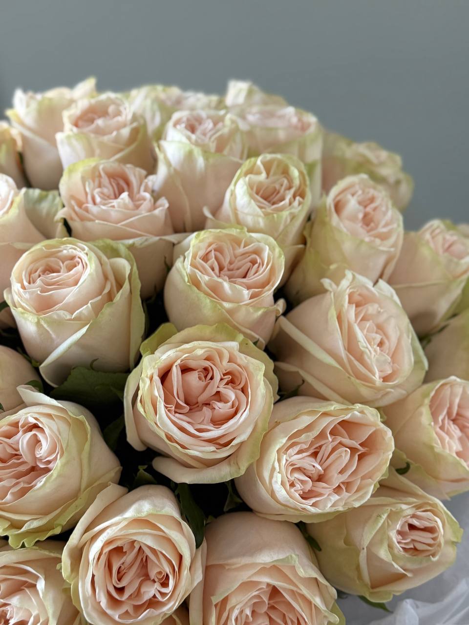 Bouquet No. 9 | Blush Garden Roses