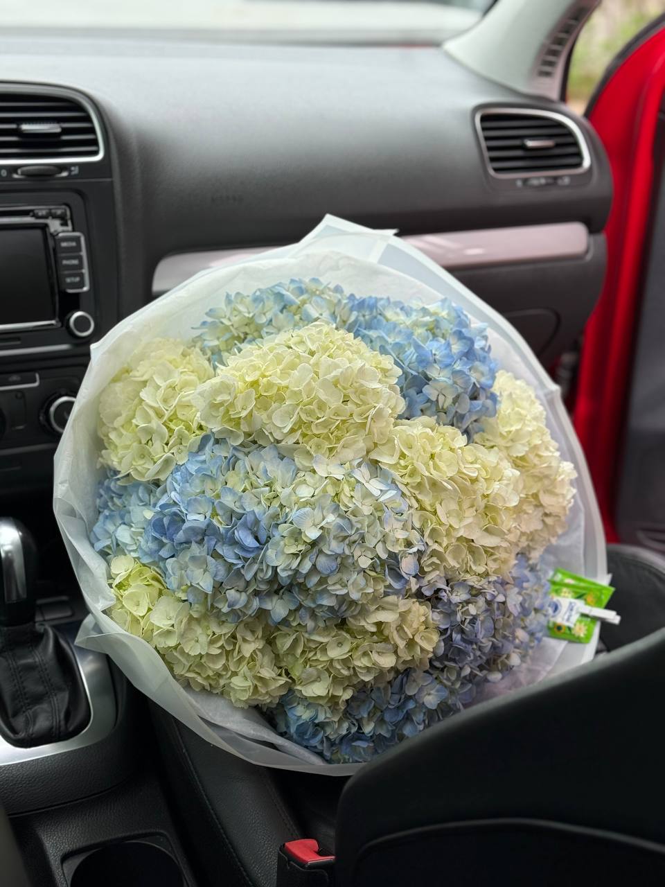 Bouquet No. 12 | Hydrangea Clouds