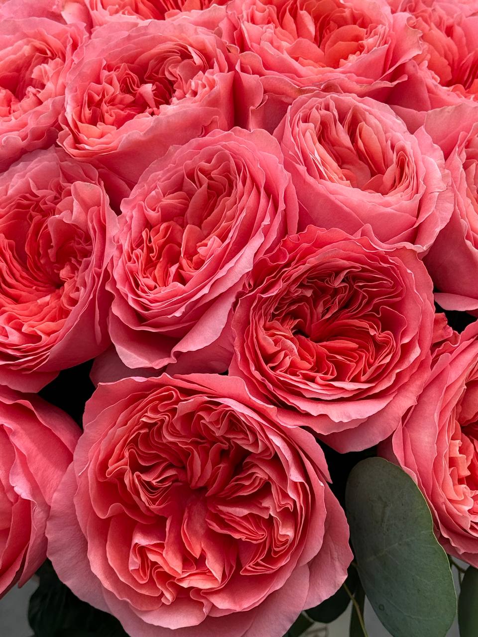 Bouquet No. 4 | Pink Garden Roses