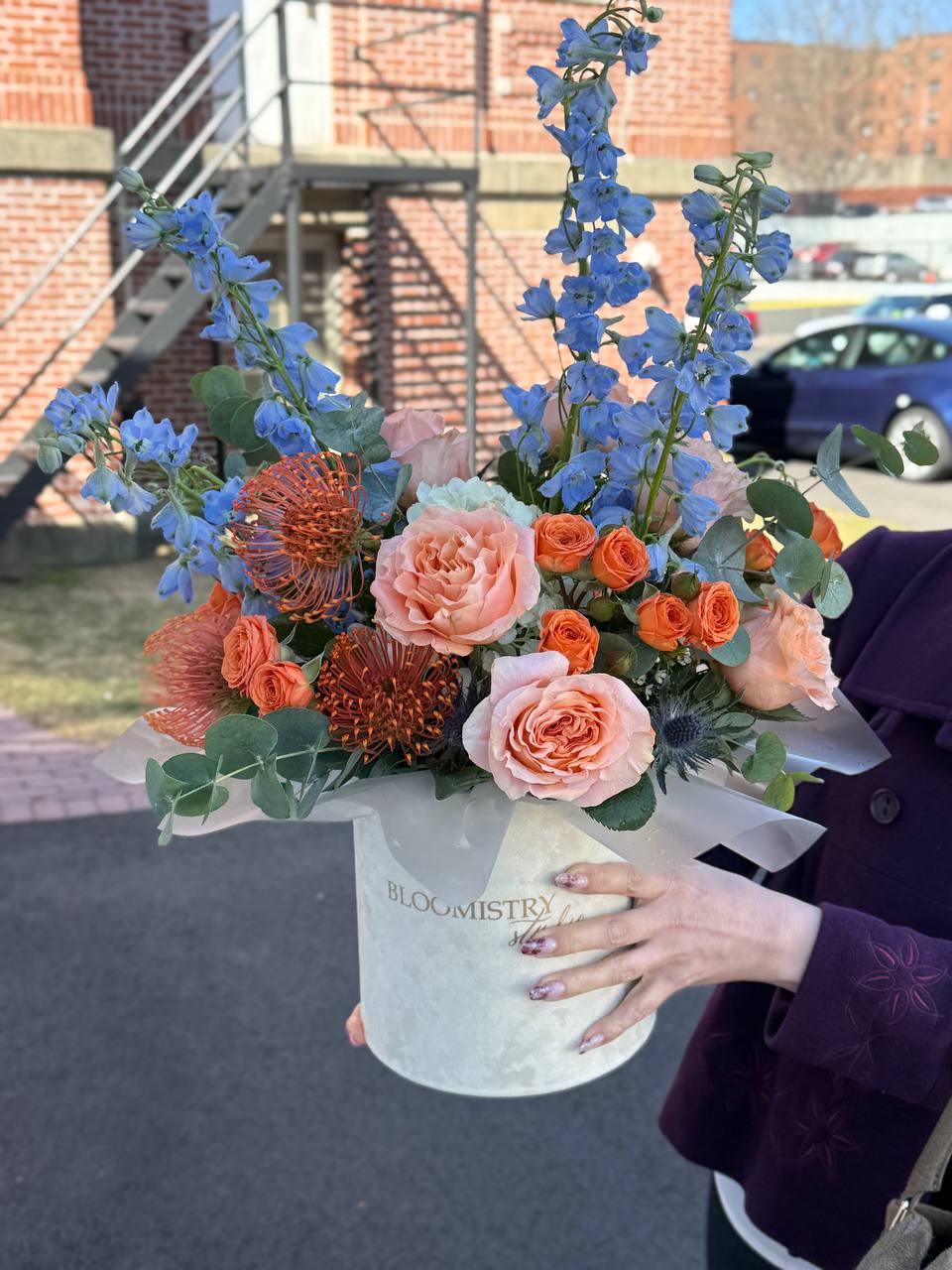 Flower Box No. 20 | Azure Sunset