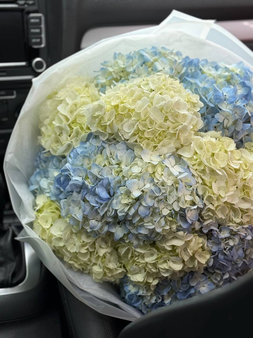 Bouquet No. 12 | Hydrangea Clouds