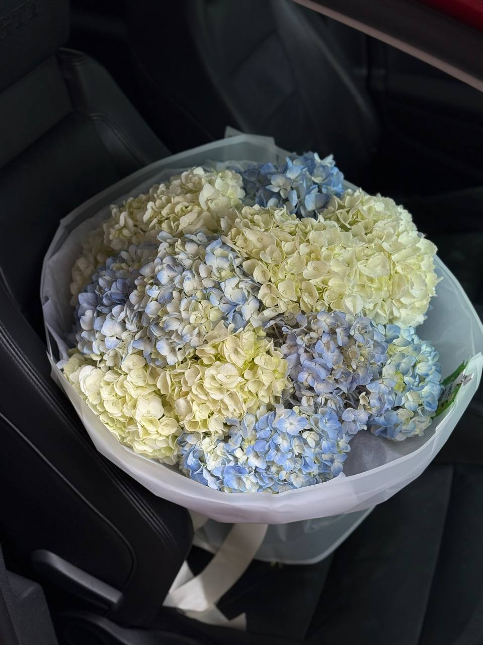 Bouquet No. 12 | Hydrangea Clouds