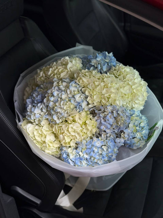 Bouquet No. 12 | Hydrangea Clouds
